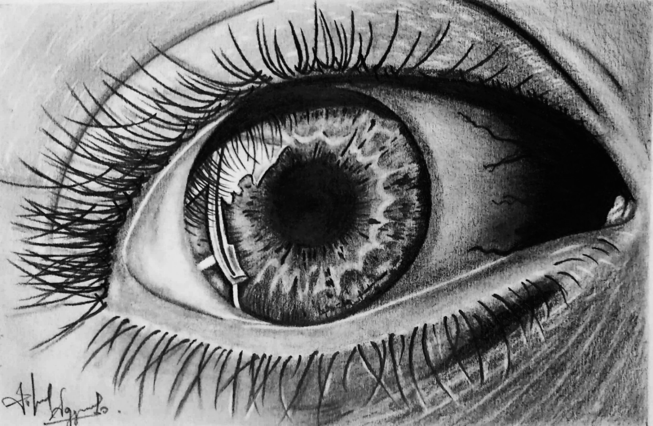 eye3
