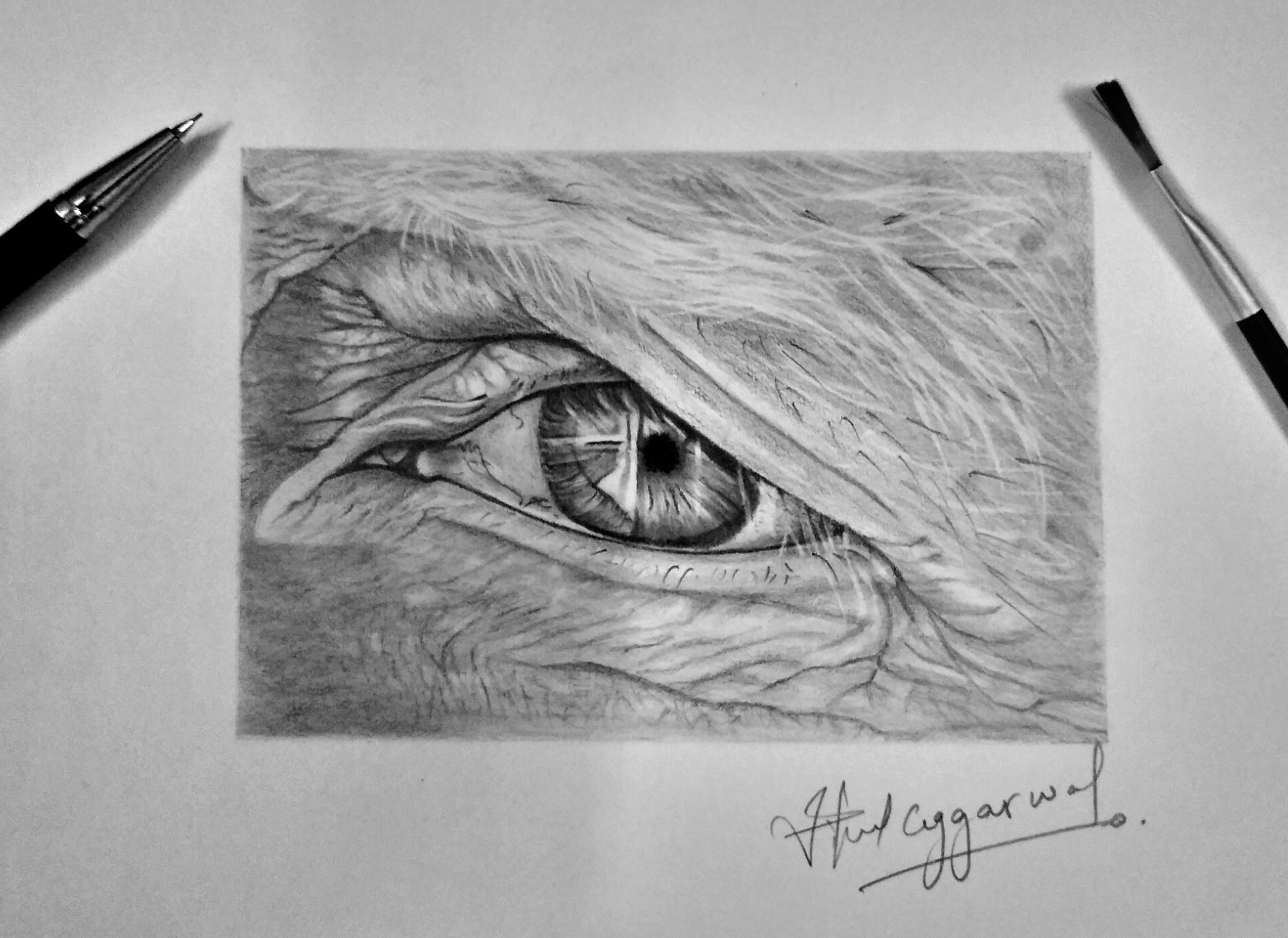 eye4